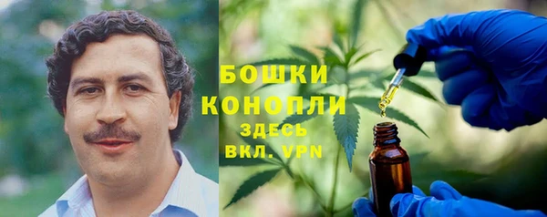 ешки Алзамай