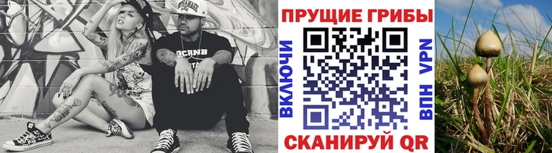 Псилоцибиновые грибы ЛСД  Асино 