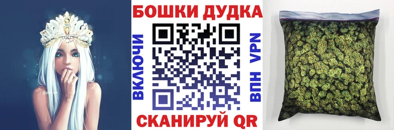 Каннабис семена  блэк спрут ссылка  Асино 